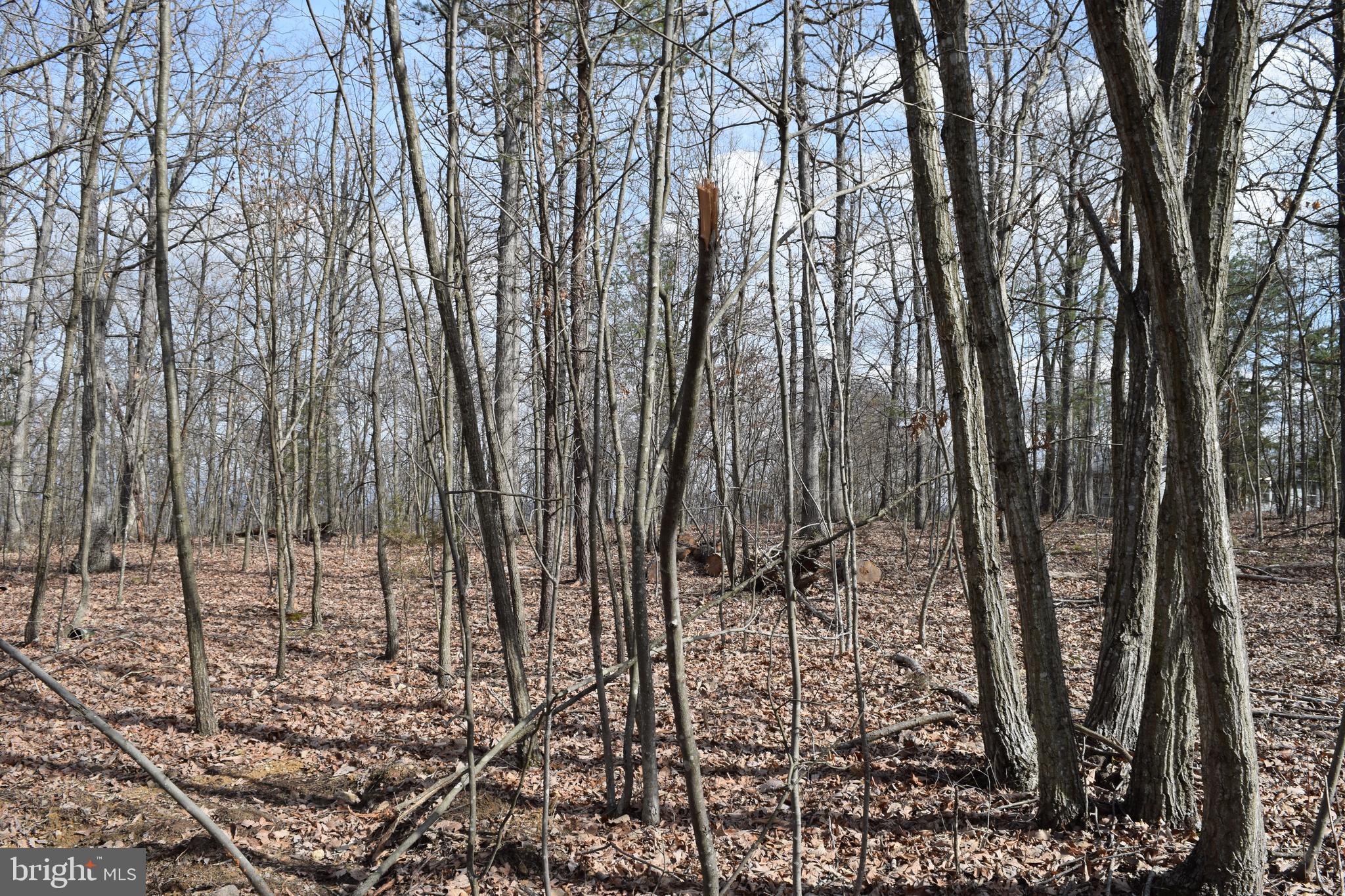 Lower View Road Strasburg, VA 22657 - Photo 17 of 19