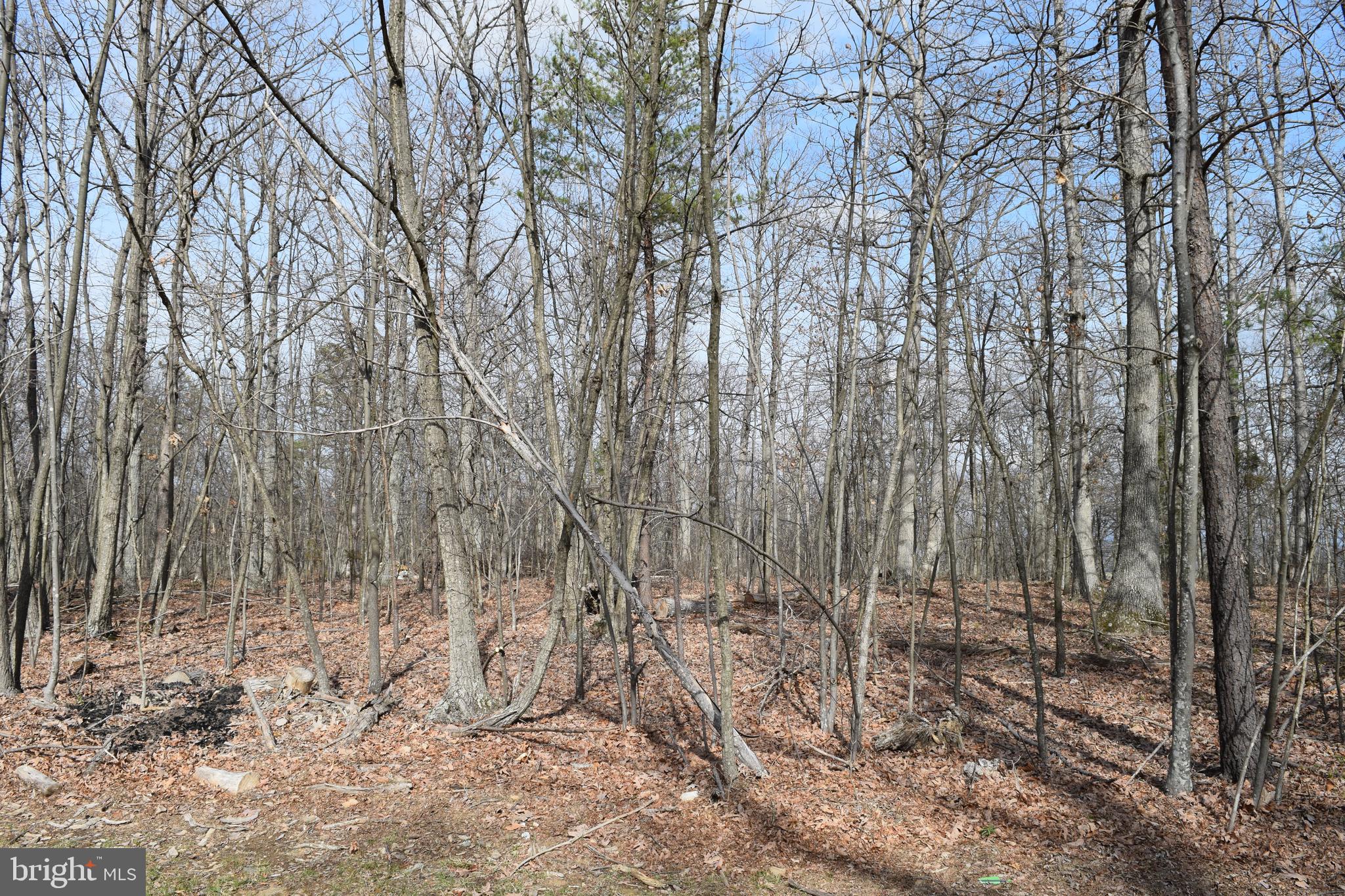Lower View Road Strasburg, VA 22657 - Photo 18 of 19