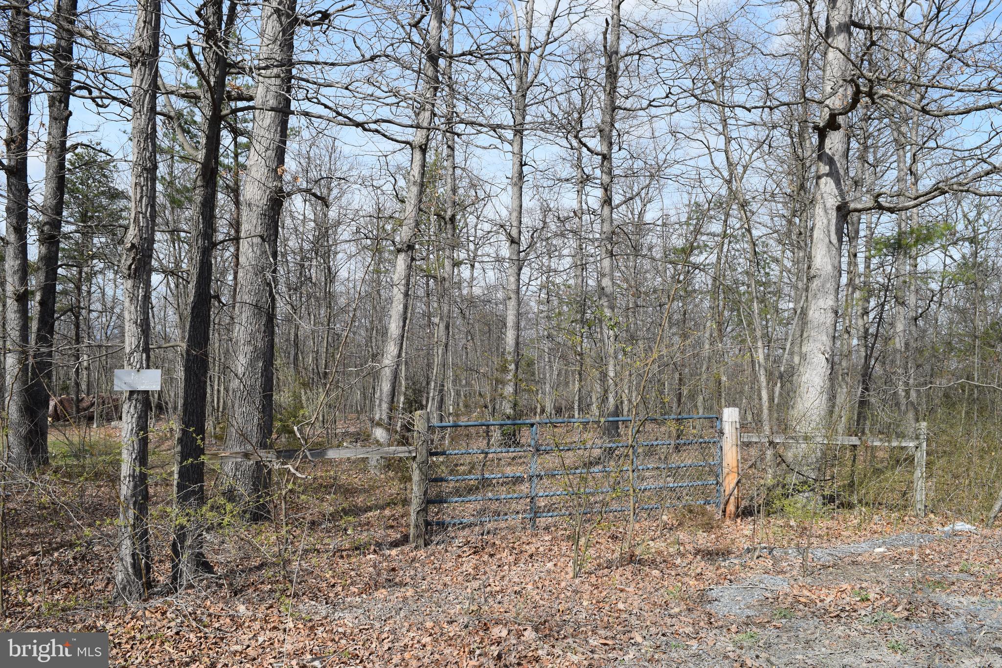 Lower View Road Strasburg, VA 22657 - Photo 19 of 19