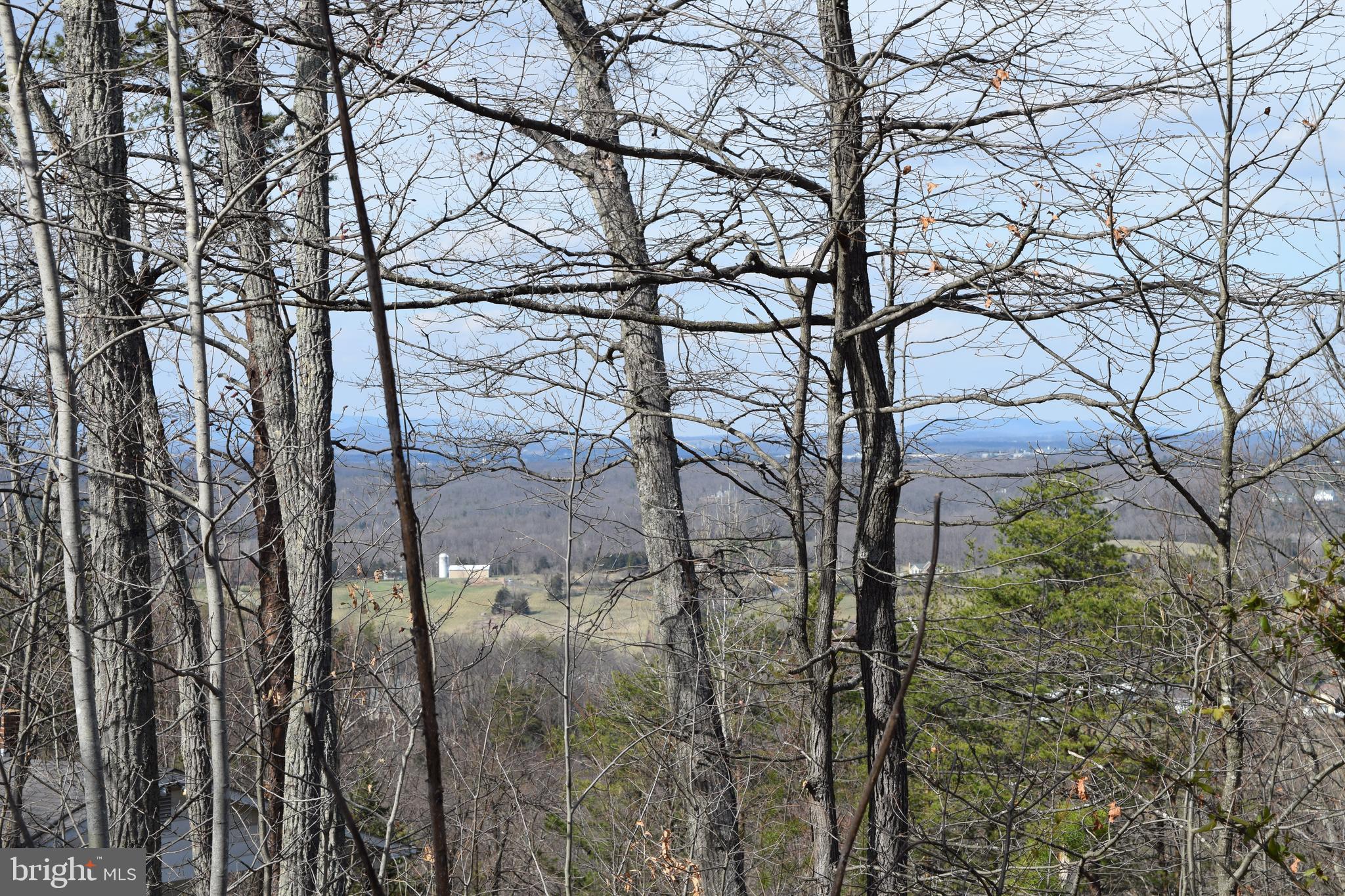 Lower View Road Strasburg, VA 22657 - Photo 3 of 19