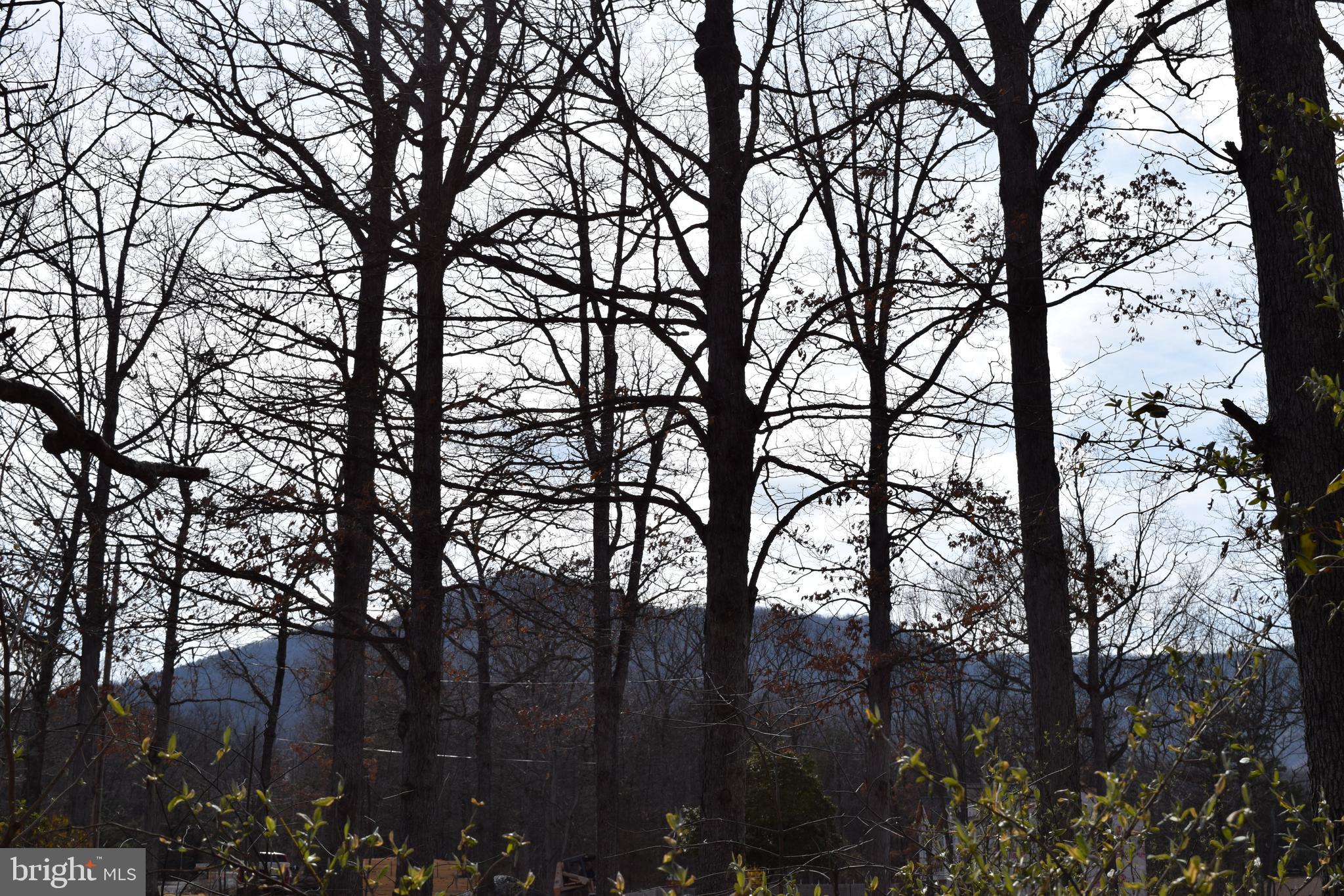 Lower View Road Strasburg, VA 22657 - Photo 4 of 19