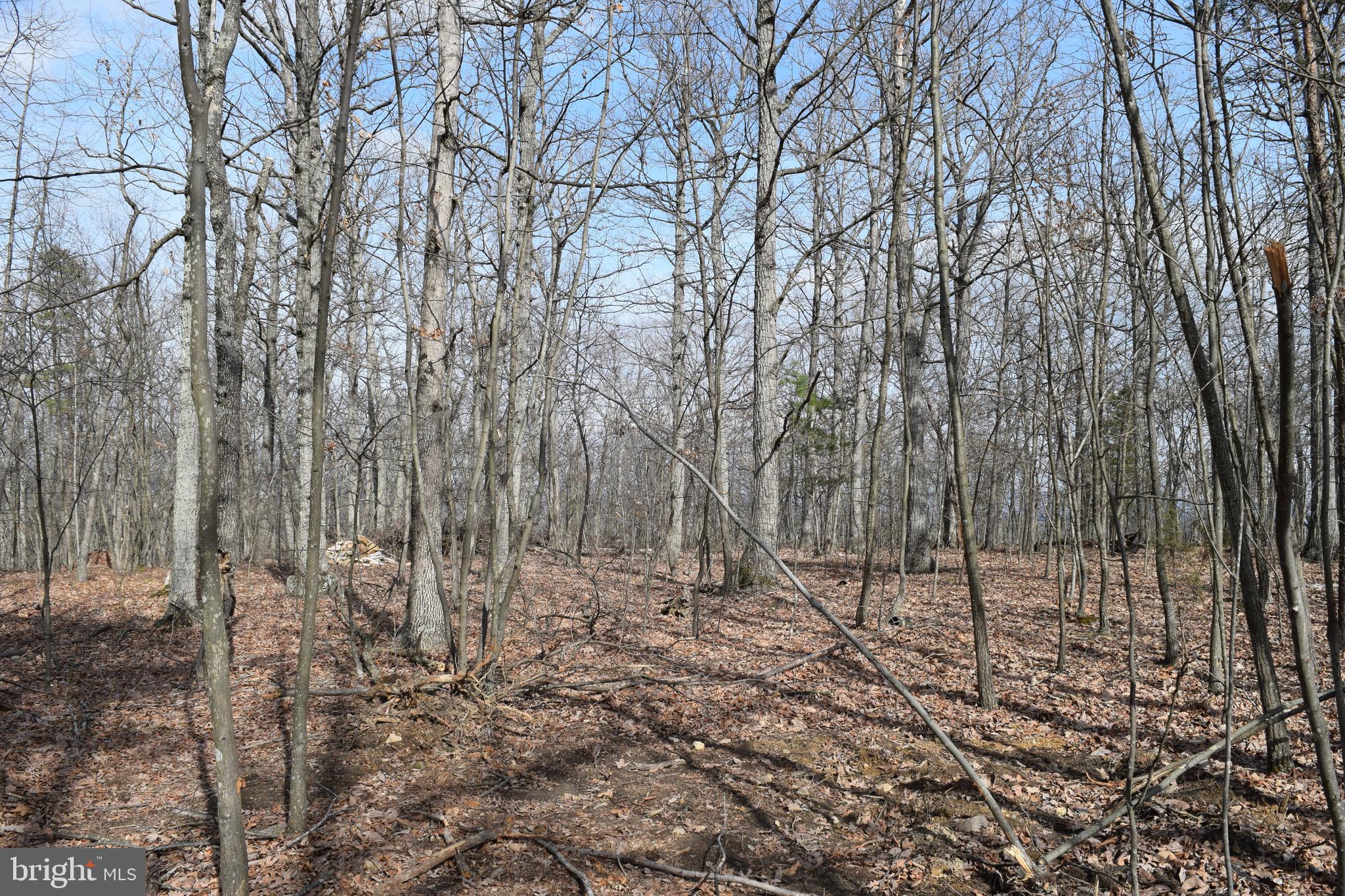 Lower View Road Strasburg, VA 22657 - Photo 6 of 19