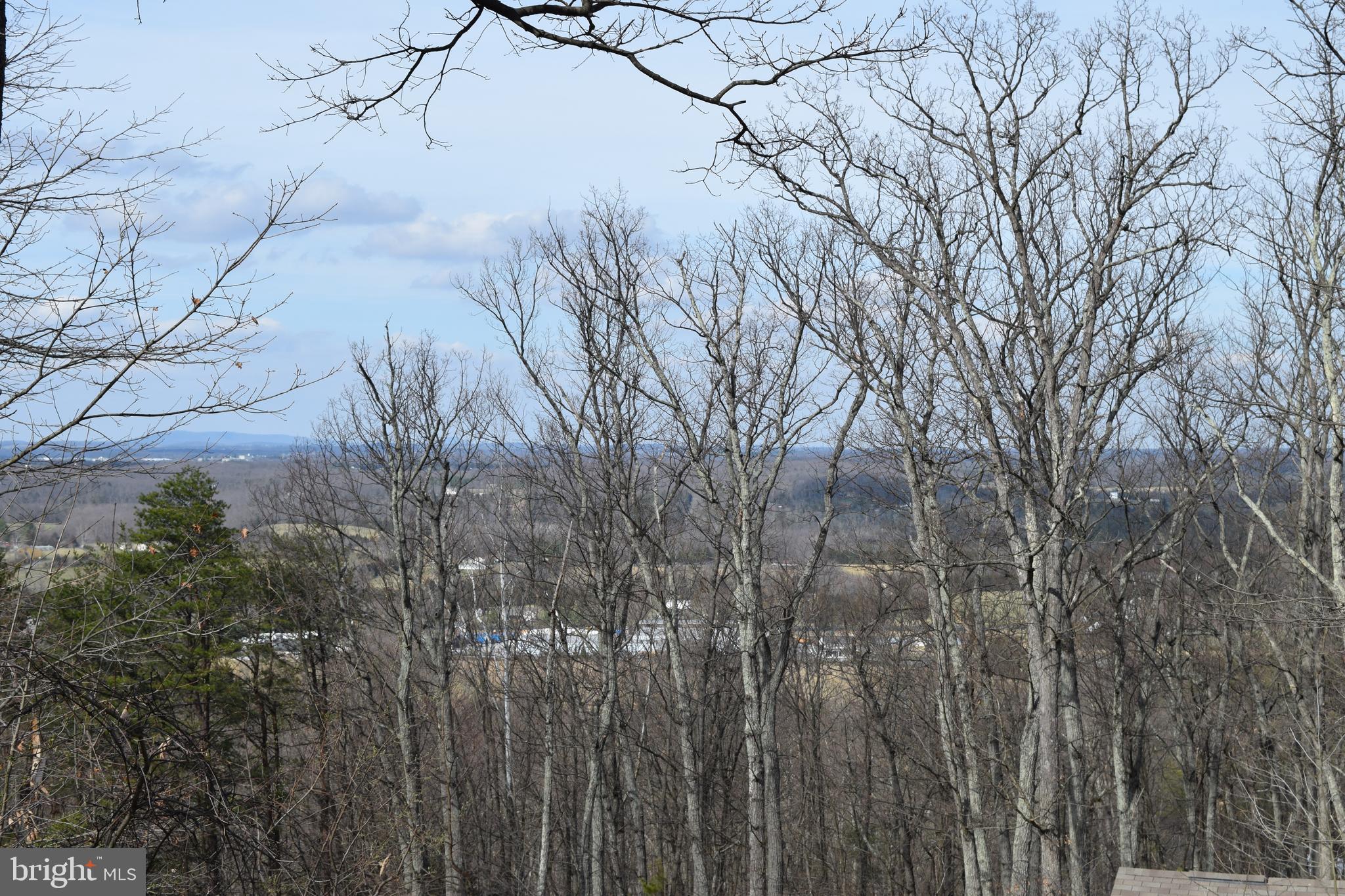 Lower View Road Strasburg, VA 22657 - Photo 7 of 19