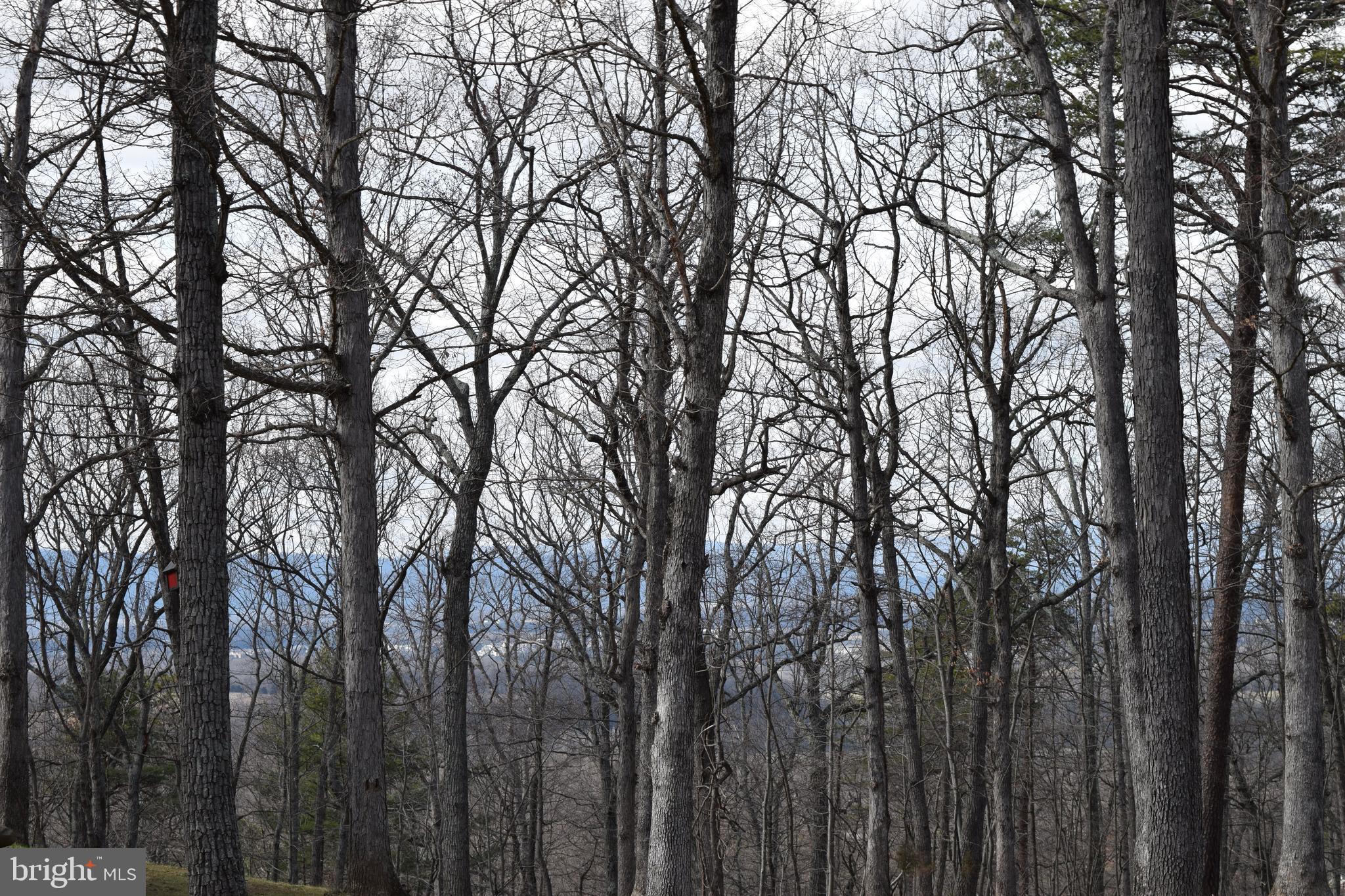 Lower View Road Strasburg, VA 22657 - Photo 8 of 19