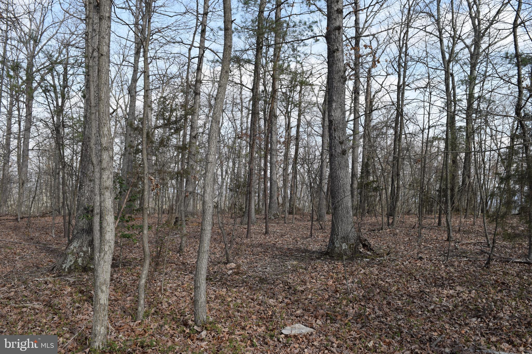 Lower View Road Strasburg, VA 22657 - Photo 9 of 19