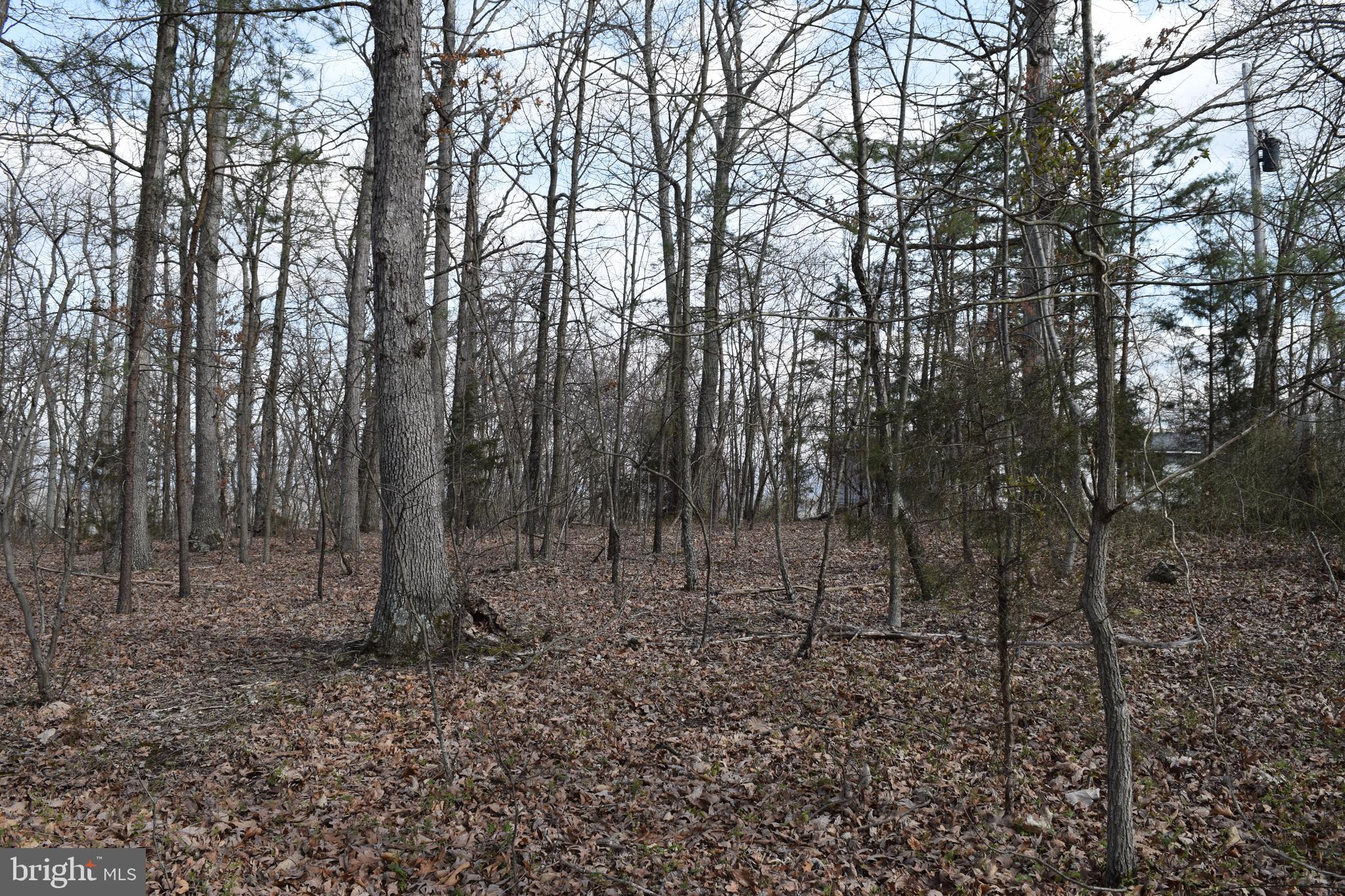 Lower View Road Strasburg, VA 22657 - Photo 10 of 19