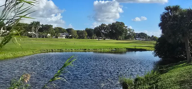 a green field with lots of green space in front of it
