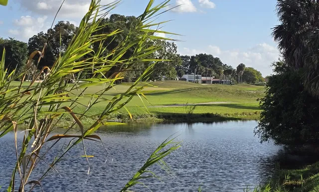 a view of a lake with a yard
