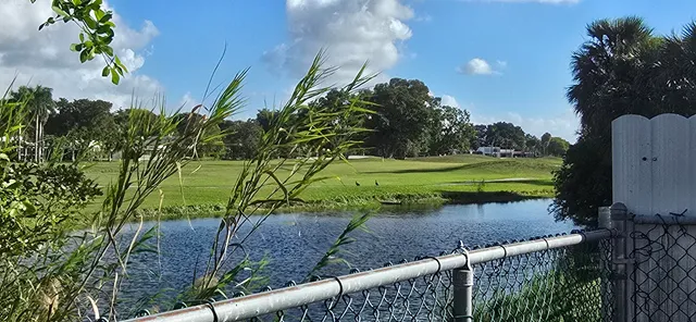 a view of a backyard with a garden