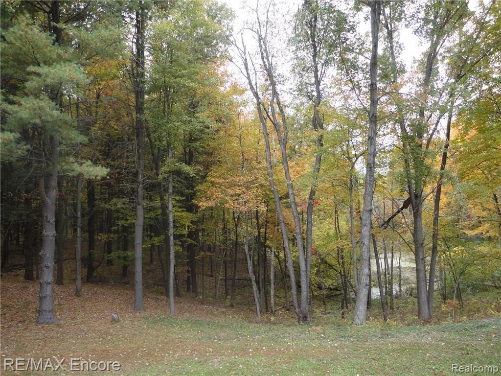 4431 Hough Road Dryden, MI 48428 - Photo 34 of 42 Back Yard pond - Copy.jpg
