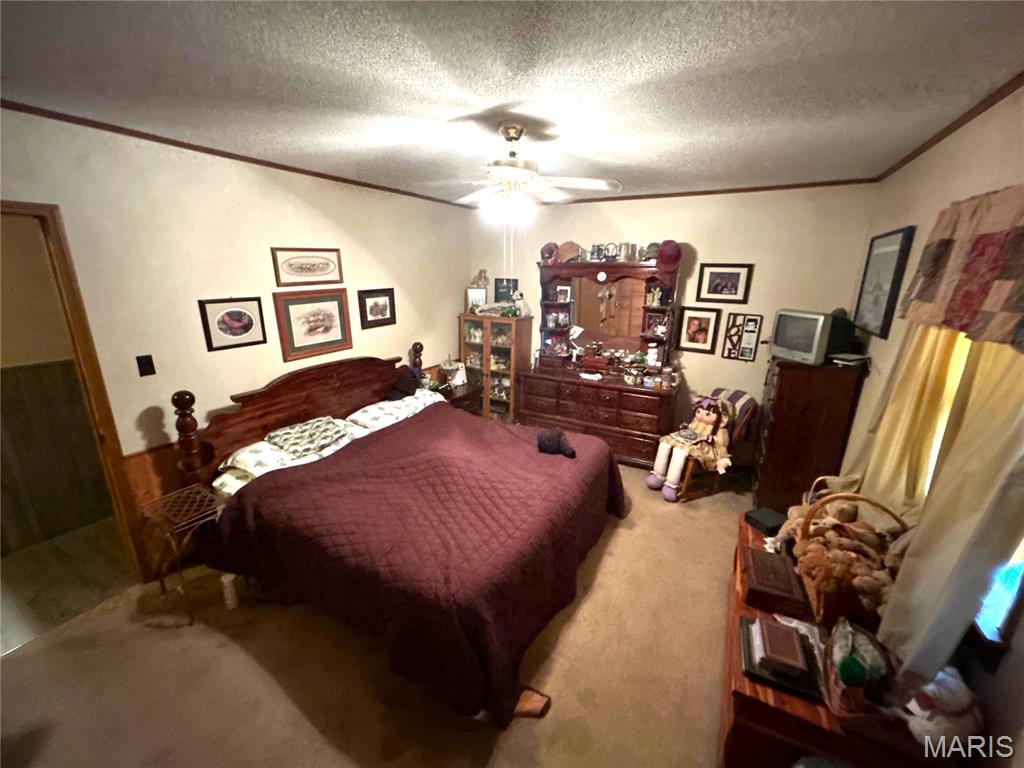 520 Eleventh Street Carrollton, IL 62016 - Photo 10 of 20