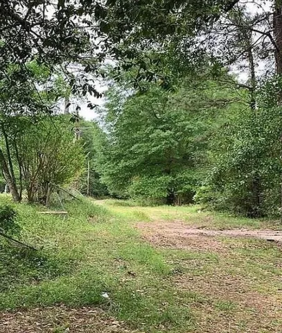 a view of outdoor space with trees all around