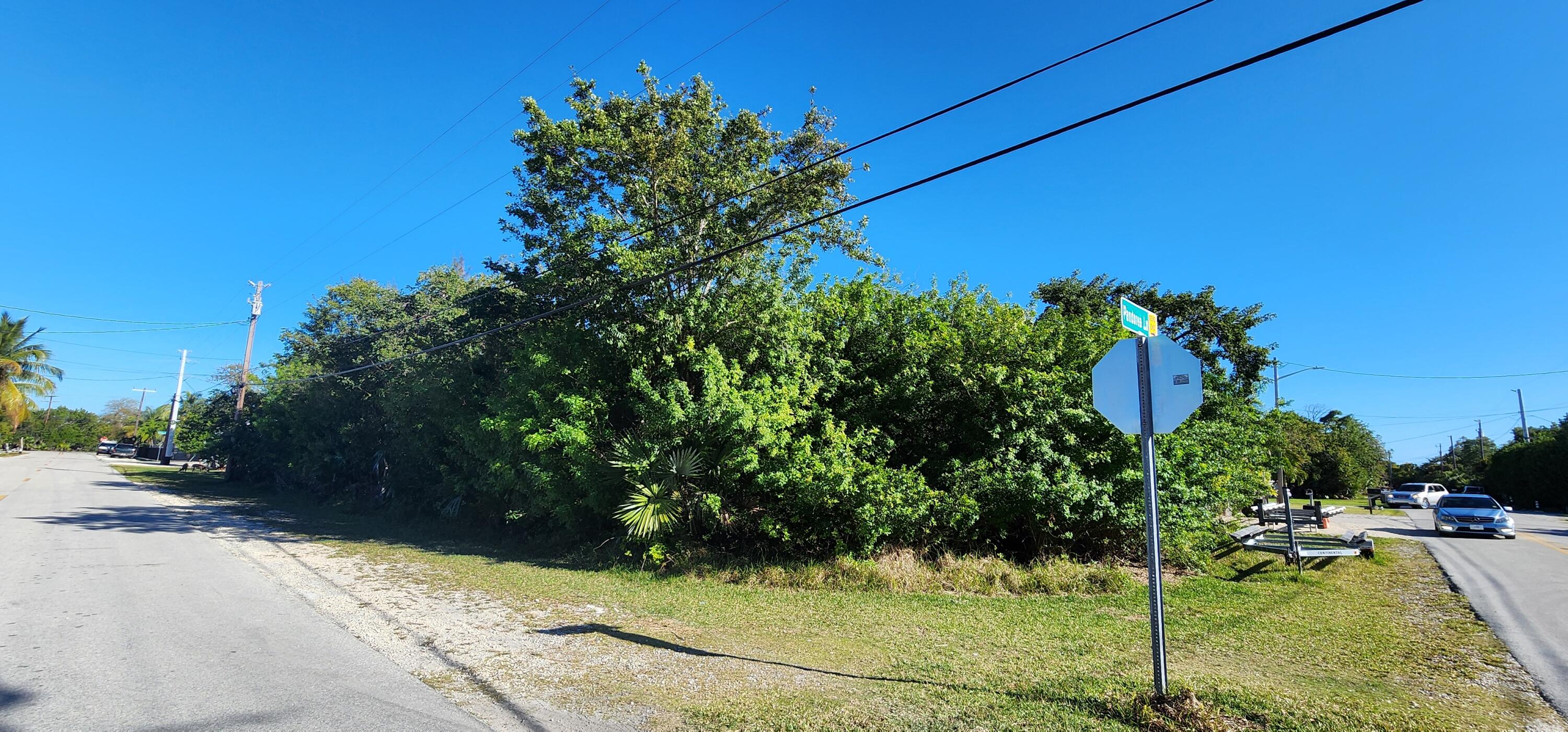 2 Pandorea Lane Big Pine Key, FL 33043 - Photo 2 of 10 a backyard of a house with lots of green space