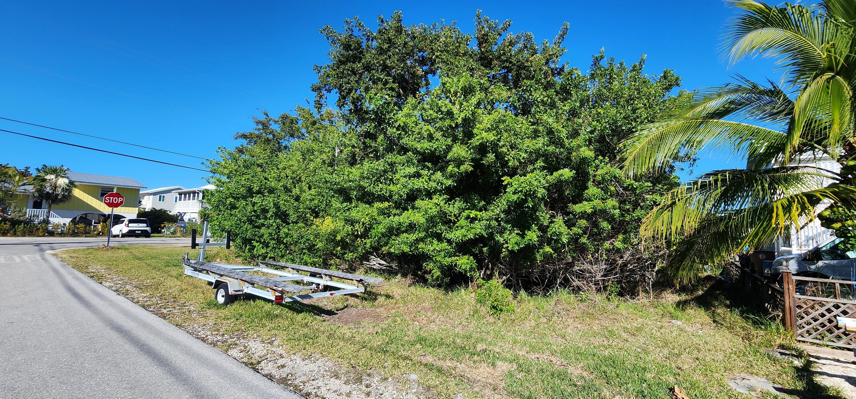 2 Pandorea Lane Big Pine Key, FL 33043 - Photo 3 of 10 a view of a backyard with plants and a patio