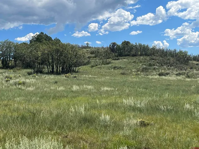$170,000 | 1174 West Arbol Park Drive, Chromo, CO 81128