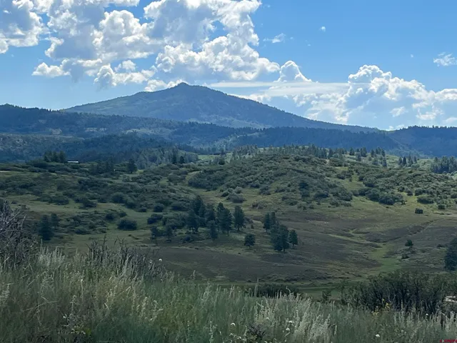 $170,000 | 1174 West Arbol Park Drive, Chromo, CO 81128