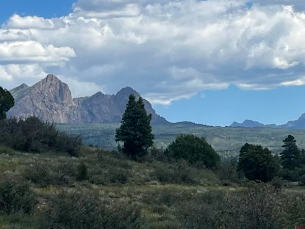 a view of a house with a garden