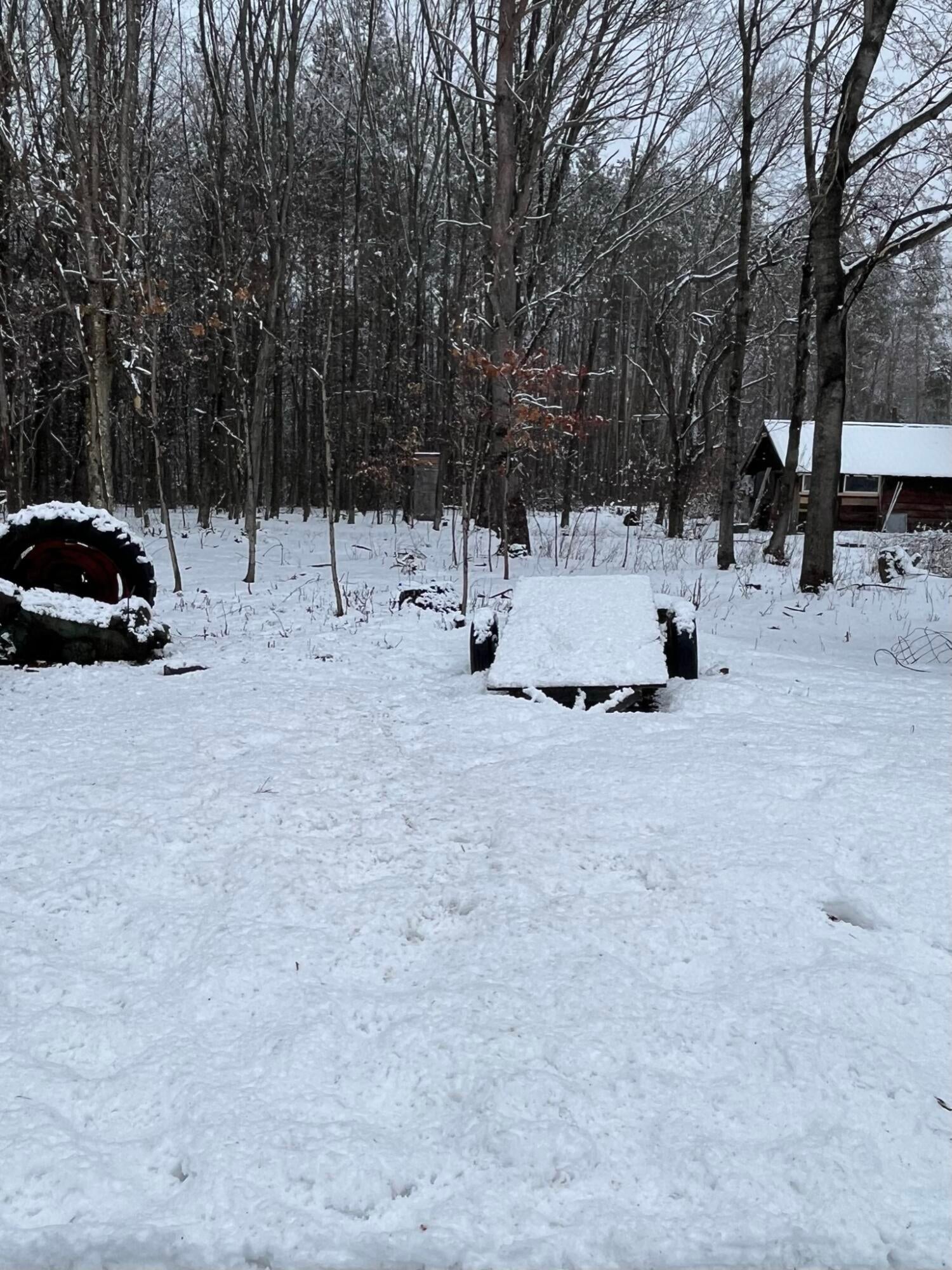 3568 West 10 Mile Road Dafter, MI 49724 - Photo 61 of 70 Gallery Image 61