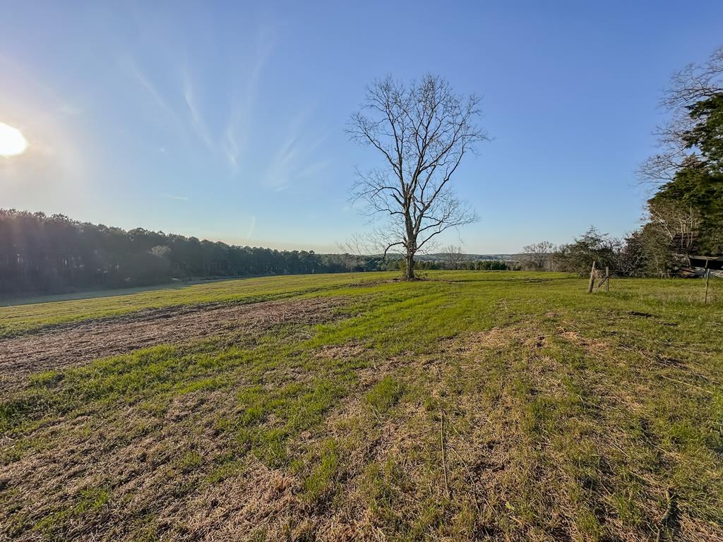 0 Double Creek Road Coffee Springs, AL 36318 - Photo 18 of 24