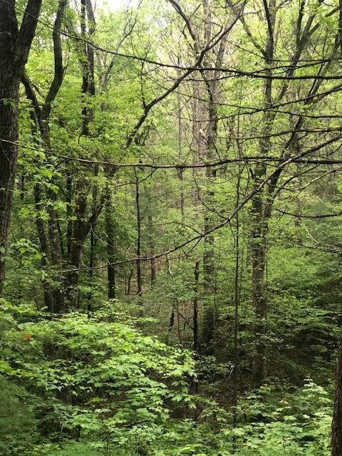 887 Swicegood Road Crossville, TN 38571 - Photo 18 of 19