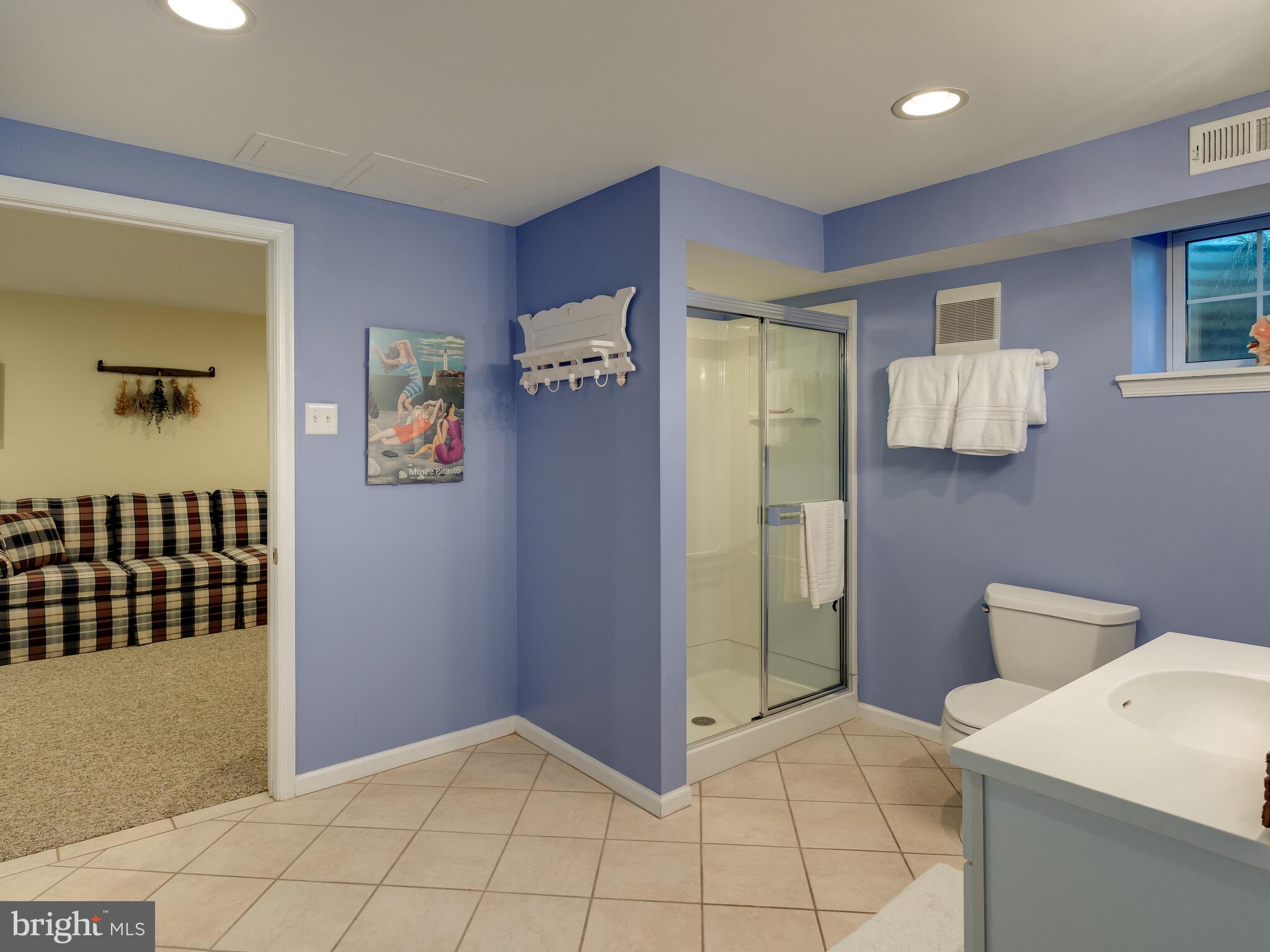 231 Dorset Road Devon, PA 19333 - Photo 21 of 27 3rd Lower Level Bath