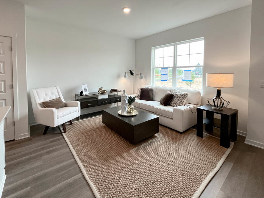 2108 Bodega Drive Oswego, IL 60543 - Photo 18 of 36 a living room with furniture lamp and a rug
