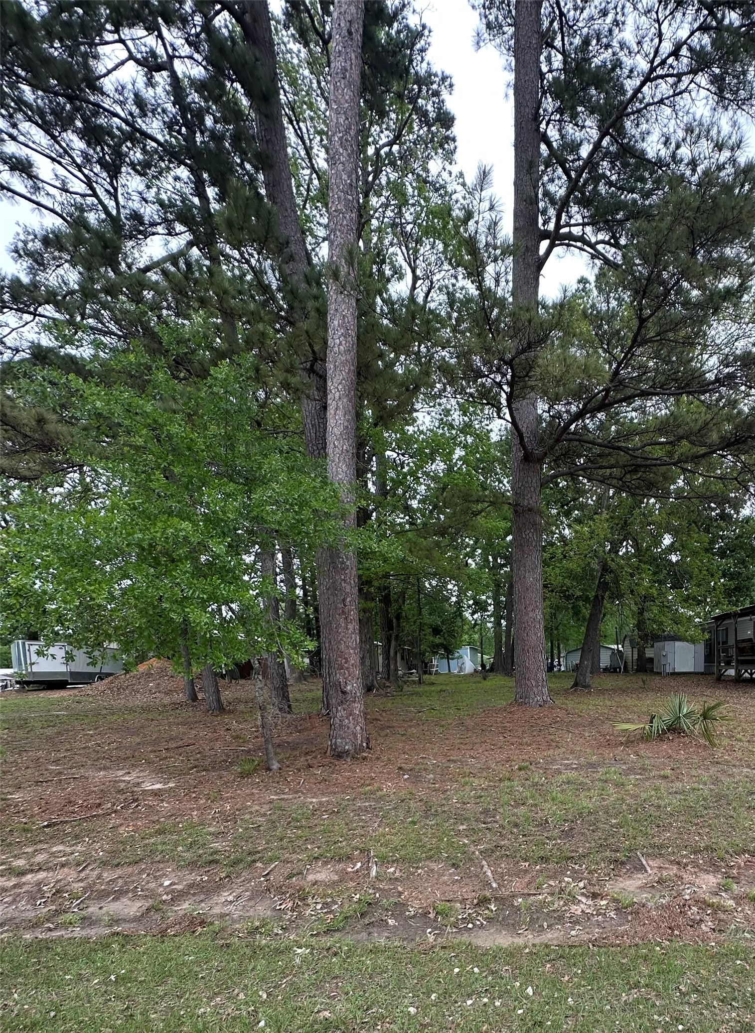 180 Holly Trail Trinity, TX 75862 - Photo 2 of 6