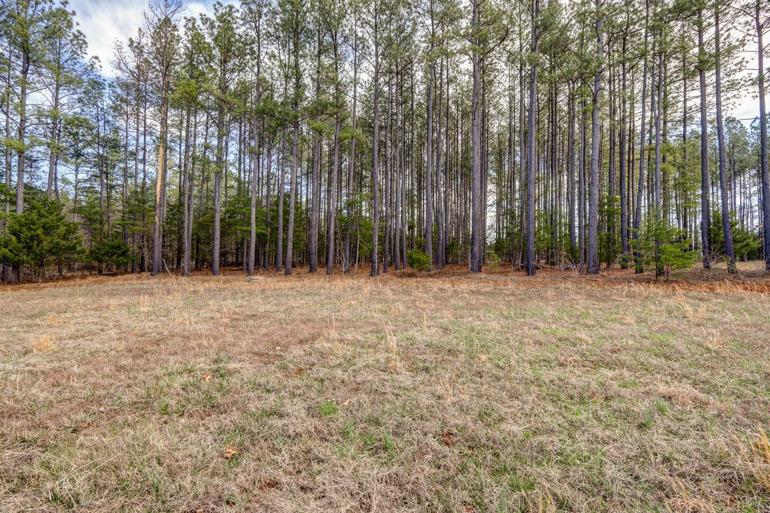 2518 Reedy Spring Road Spout Spring, VA 24593 - Photo 15 of 48