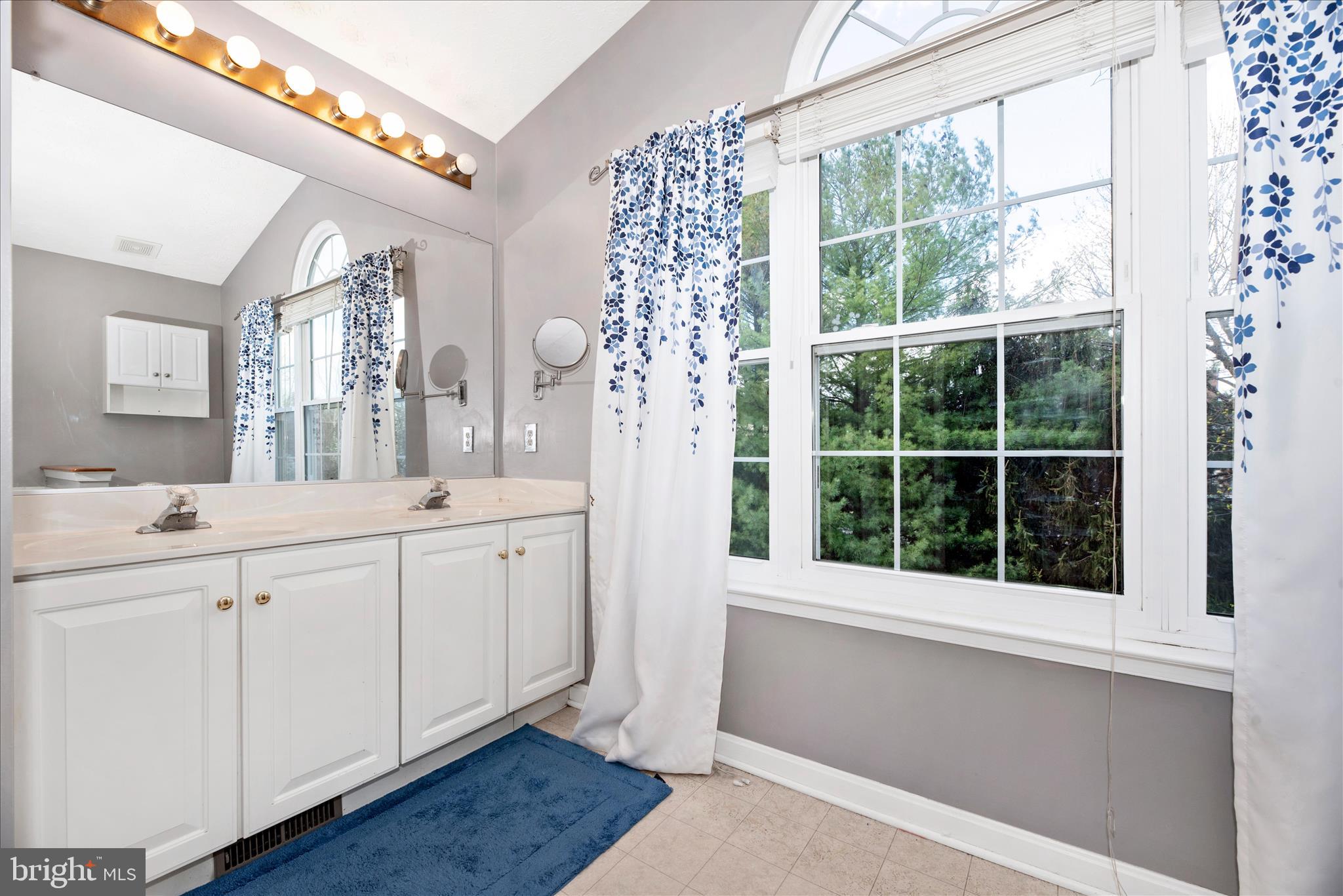1422 Roman Ridge Way Bel Air, MD 21014 - Photo 30 of 57 a bathroom with a sink a large mirror and a bathtub next to a window