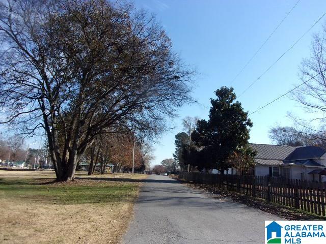 3395 Russell Street Cedar Bluff, AL 35959 - Photo 3 of 3