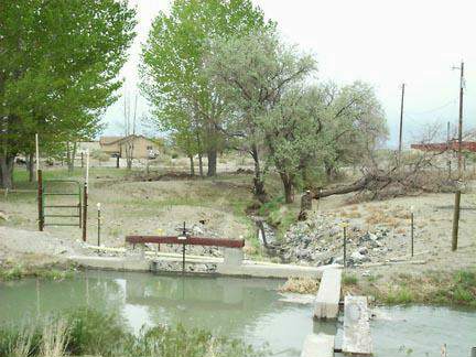 5363 Cody Road Fallon, NV 89406 - Photo 8 of 9