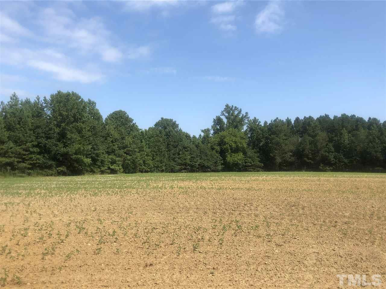 790 Pea Ridge Road New Hill, NC 27562 - Photo 3 of 11 Gallery Image 3