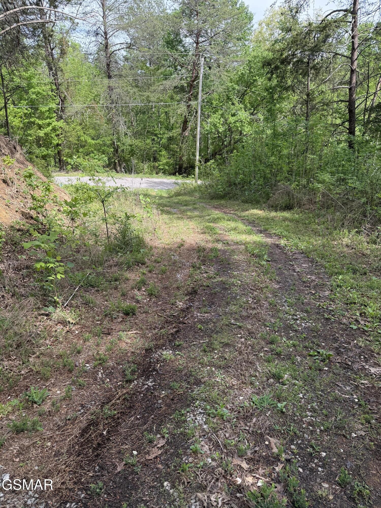 0 Dark Hollow Road Cosby, TN 37722 - Photo 15 of 17 Gallery Image 15