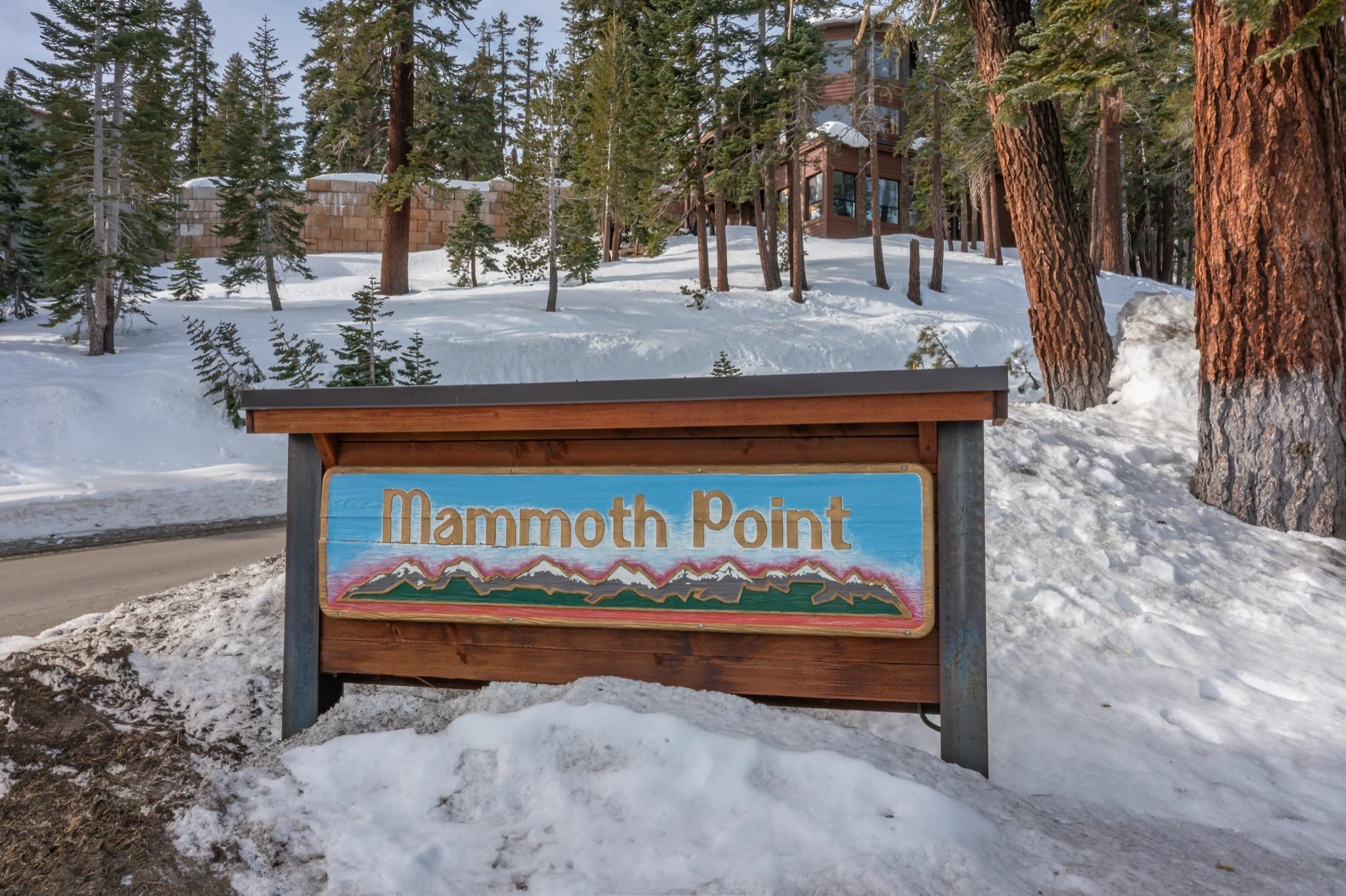 94 John Muir Road, Unit 117 Mammoth Lakes, CA 93546 - Photo 38 of 38