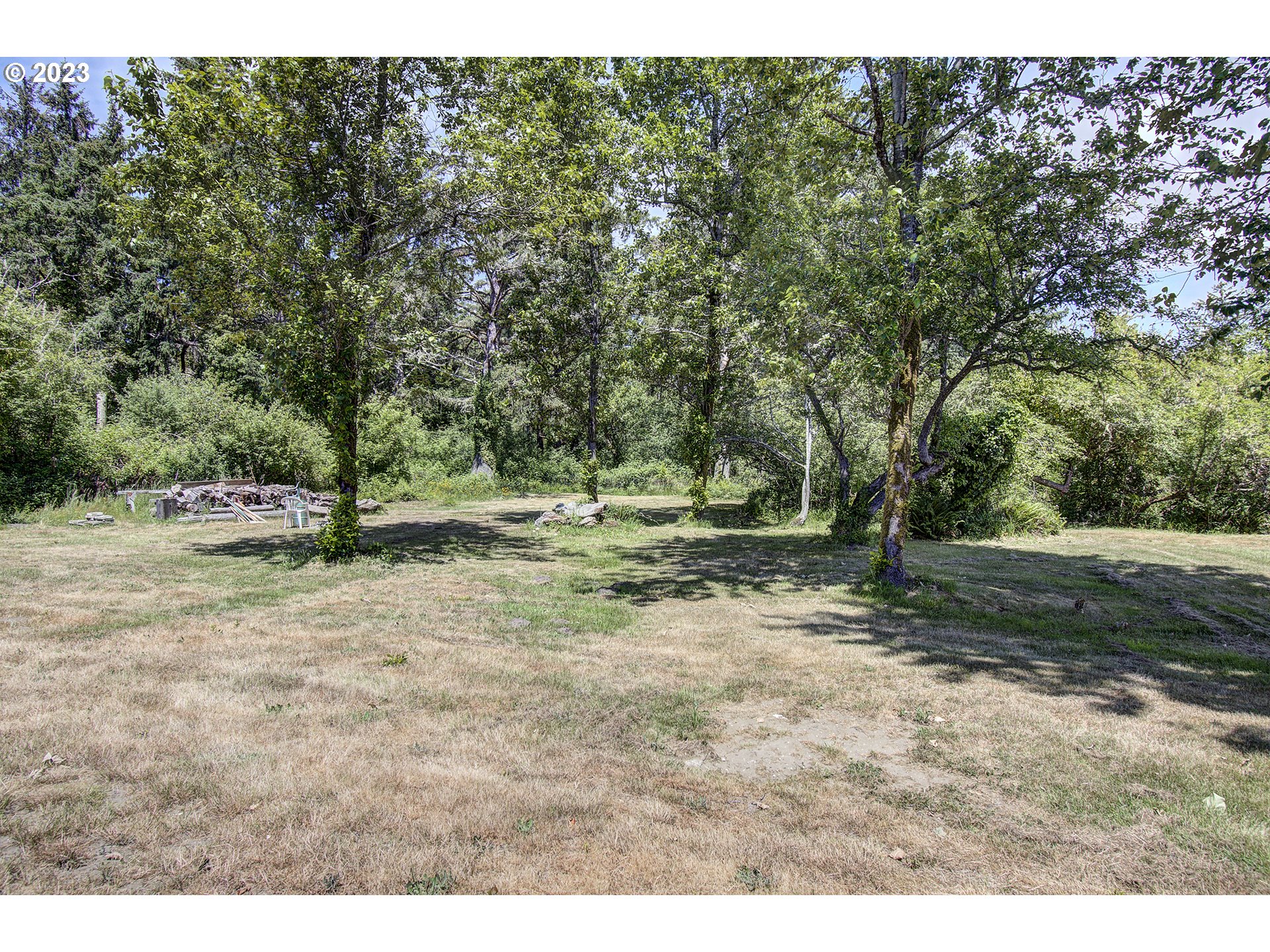 136 Stringtown Road Ilwaco, WA 98624 - Photo 45 of 47 a view of outdoor space with trees