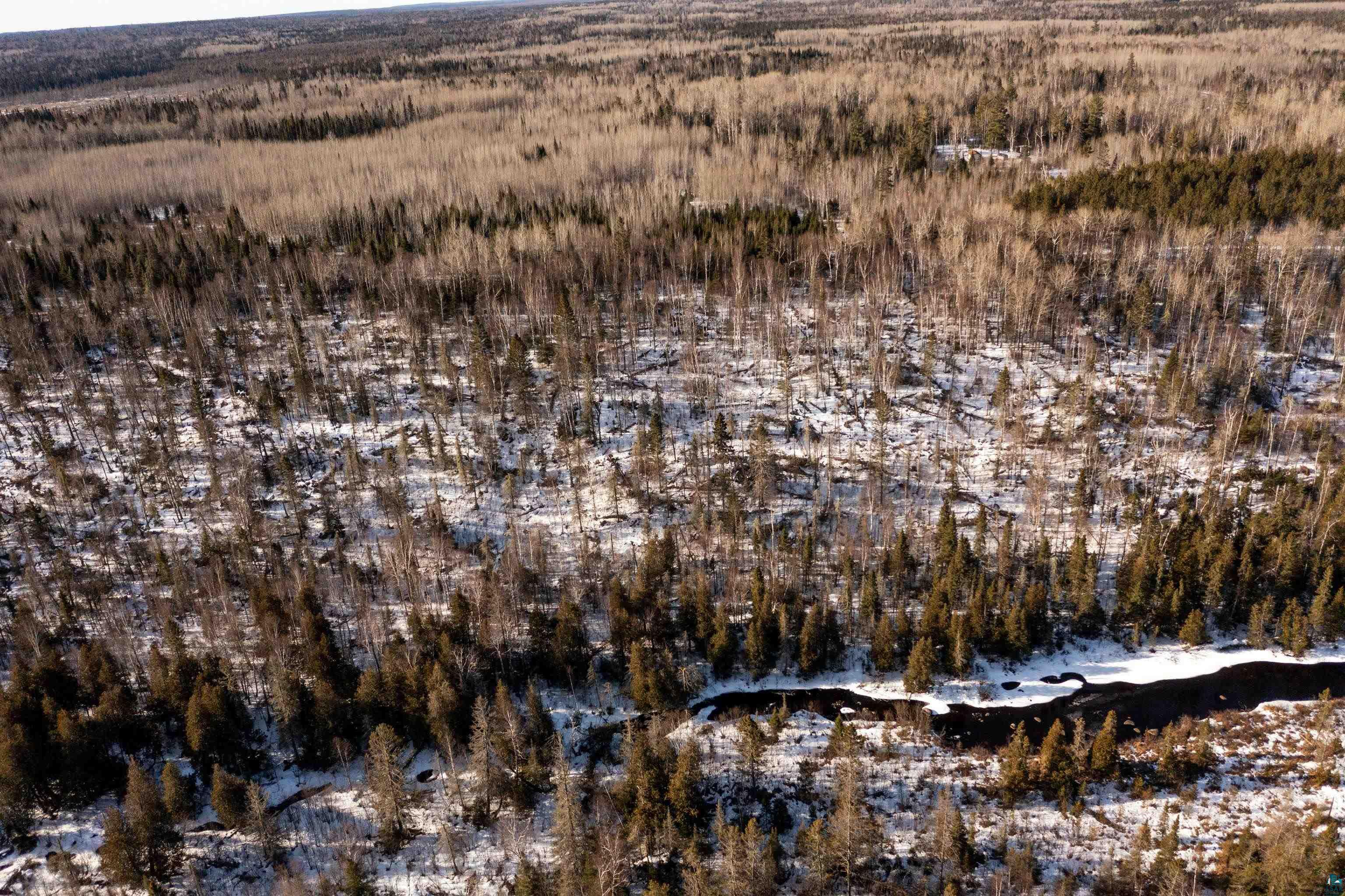 Xxx Xxx Moose Ridge Road Isabella, MN 55607 - Photo 24 of 37