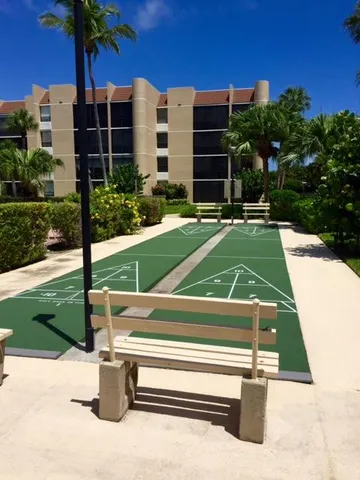 a view of a park with palm trees