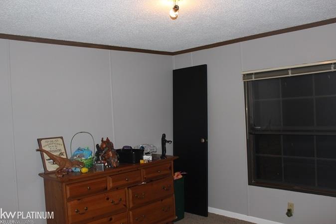 4406 County Line Road New Haven, MI 48050 - Photo 21 of 21 31331793-20.JPG