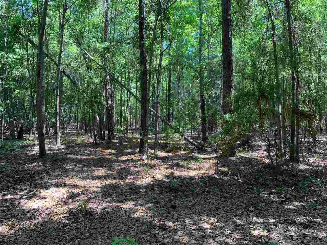 5758 Old Pollard Road Jay, FL 32565 - Photo 16 of 21 Gallery Image 16