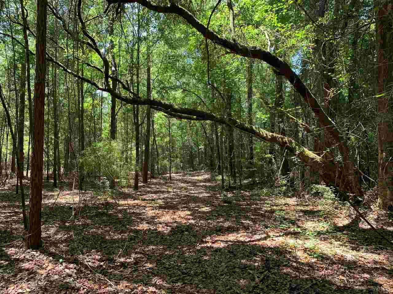 5758 Old Pollard Road Jay, FL 32565 - Photo 17 of 21 Gallery Image 17