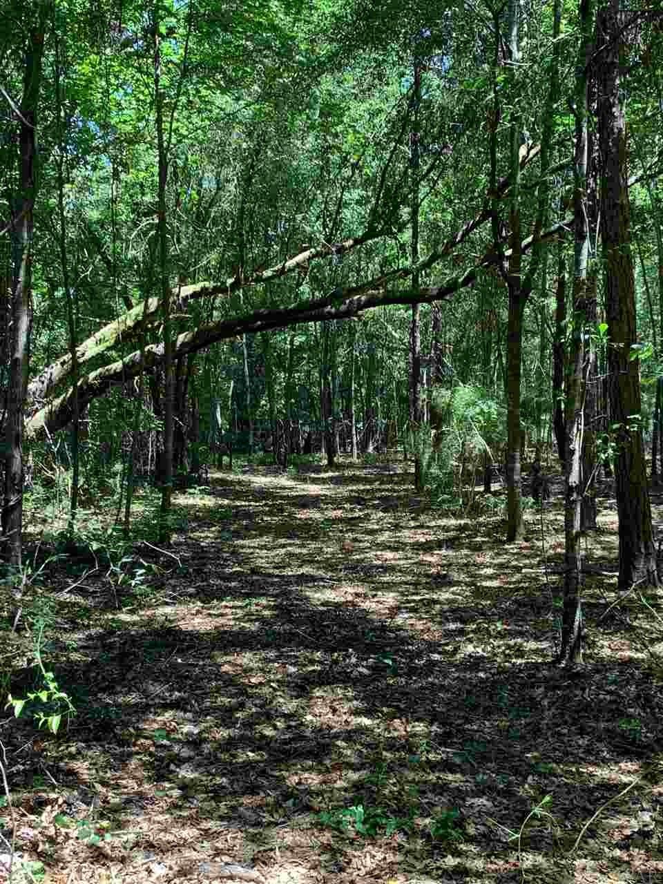 5758 Old Pollard Road Jay, FL 32565 - Photo 18 of 21 Gallery Image 18