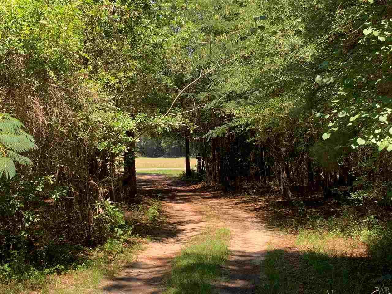 5758 Old Pollard Road Jay, FL 32565 - Photo 21 of 21 Gallery Image 21