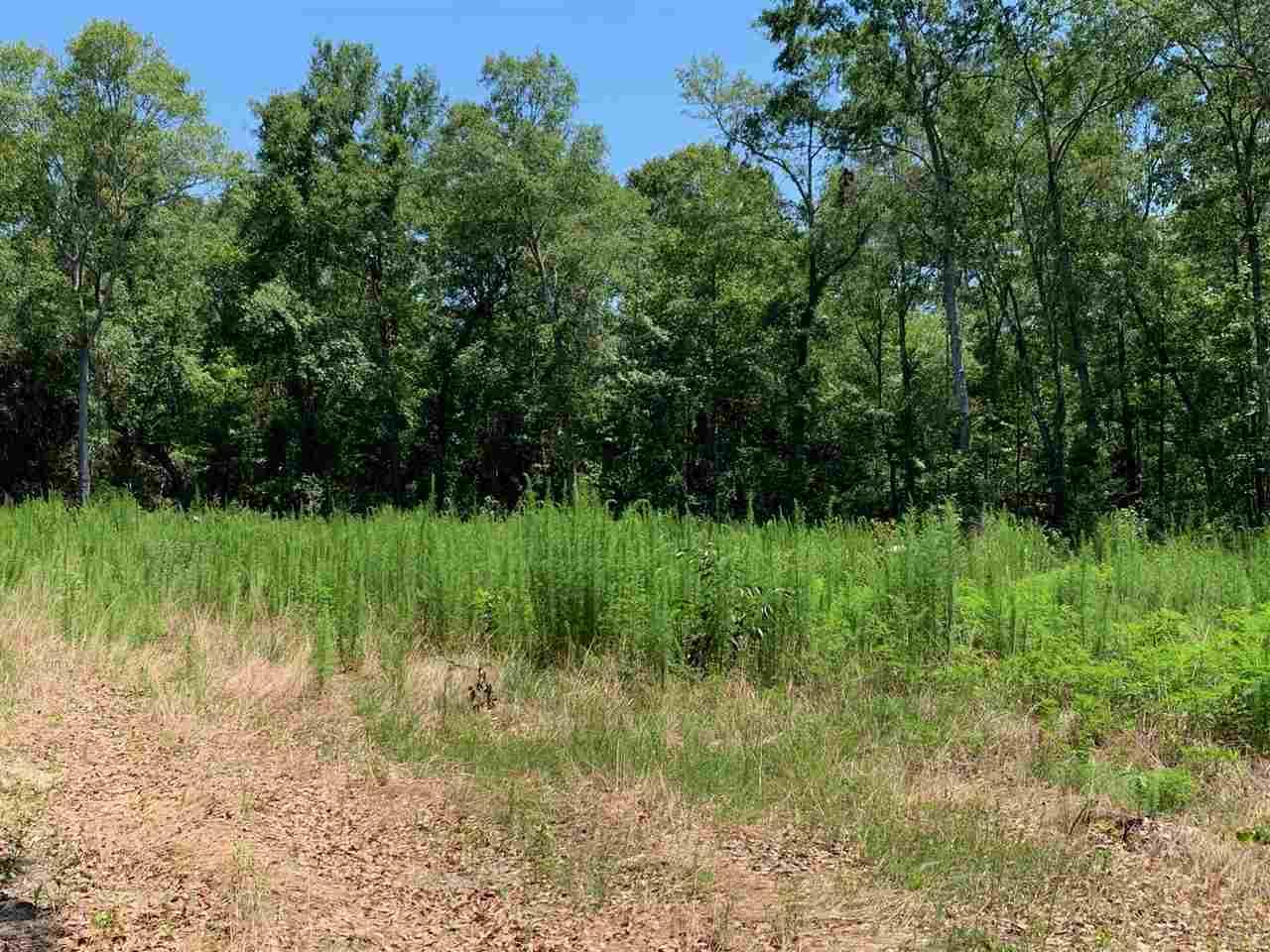 5758 Old Pollard Road Jay, FL 32565 - Photo 10 of 21 Gallery Image 10