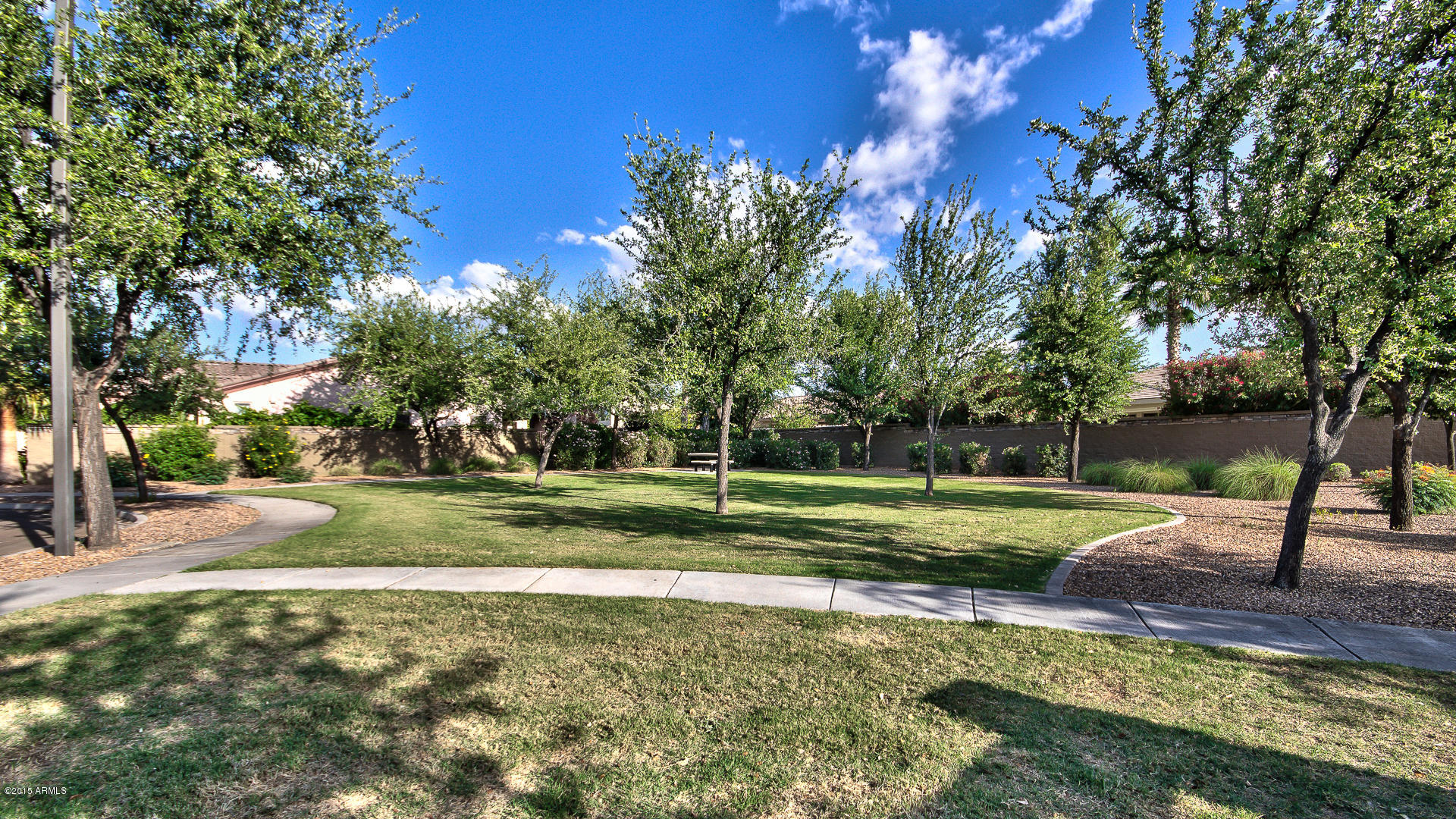 4782 East Buckboard Road Gilbert, AZ 85297 - Photo 42 of 57 a view of a park with large trees