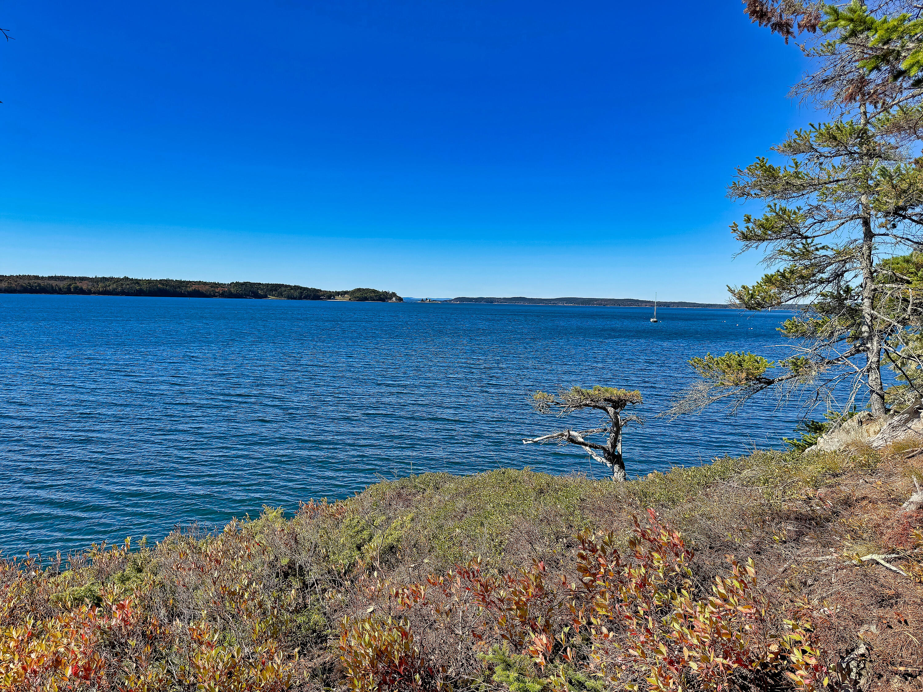 Lot 6 Sunset Road Brooksville, ME 04617 - Photo 28 of 35