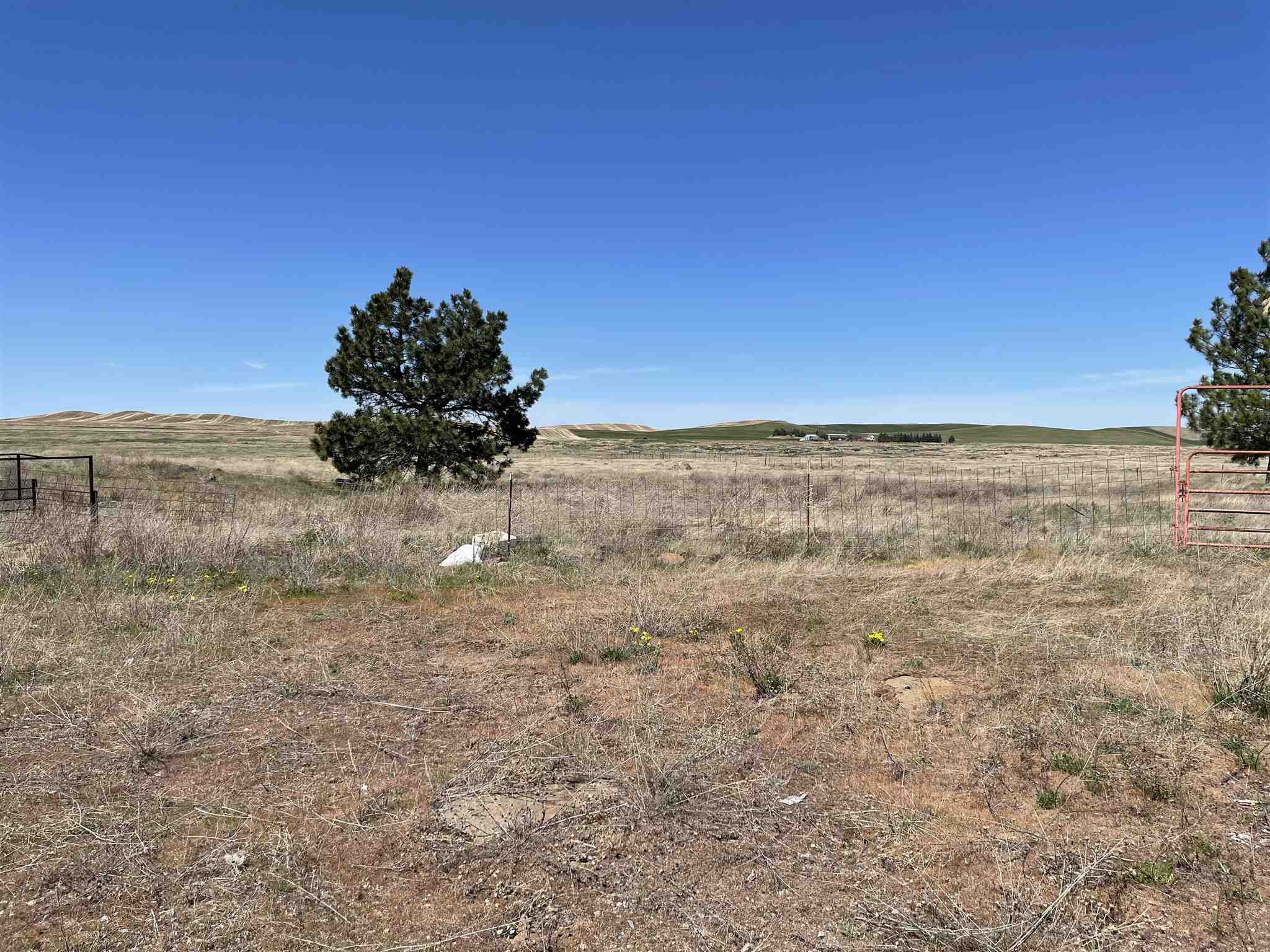 16614 South Carstens Road Edwall, WA 99008 - Photo 16 of 24