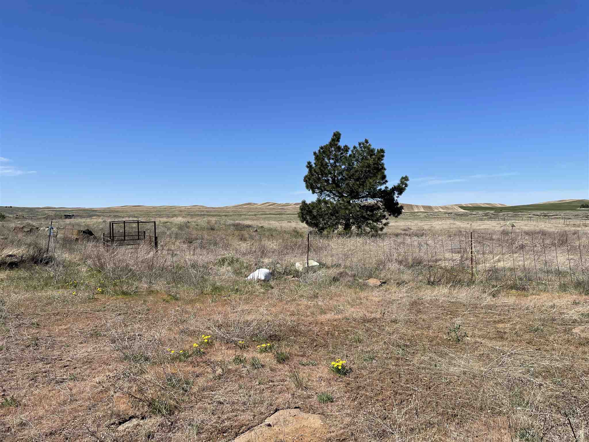 16614 South Carstens Road Edwall, WA 99008 - Photo 17 of 24