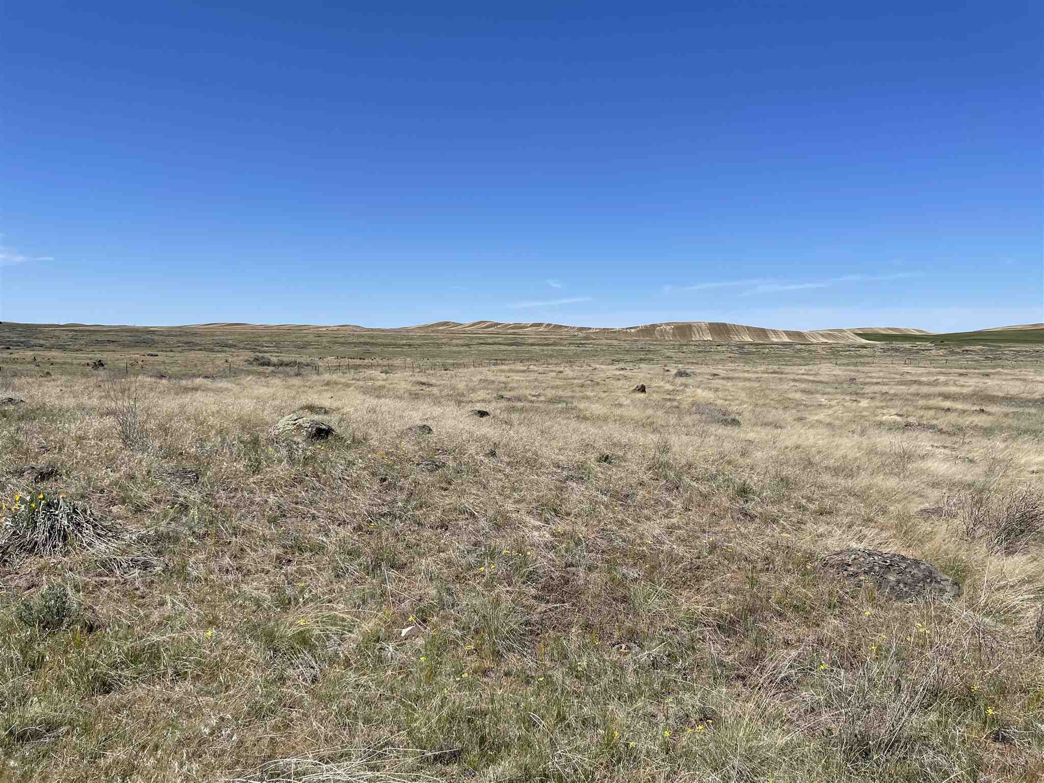 16614 South Carstens Road Edwall, WA 99008 - Photo 19 of 24