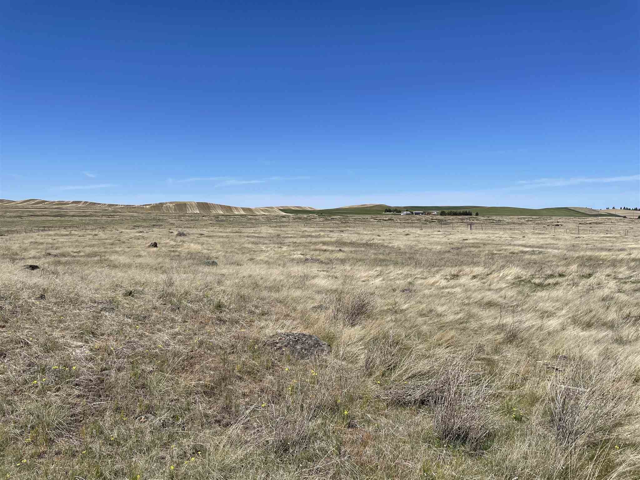 16614 South Carstens Road Edwall, WA 99008 - Photo 20 of 24