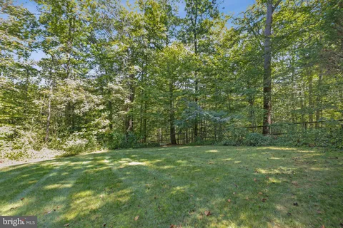 a view of a field with trees in the background
